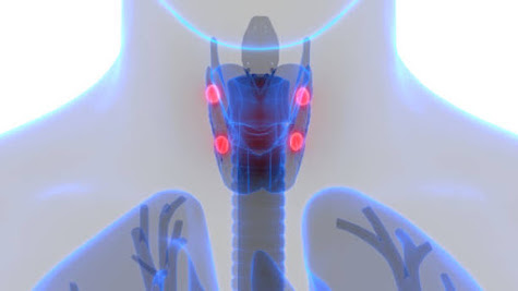 How Parathyroid Surgery Helps Restore Calcium Balance