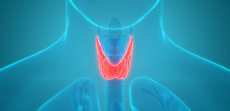 Parathyroid Tumors: What Are They & When Do They Need Surgery?